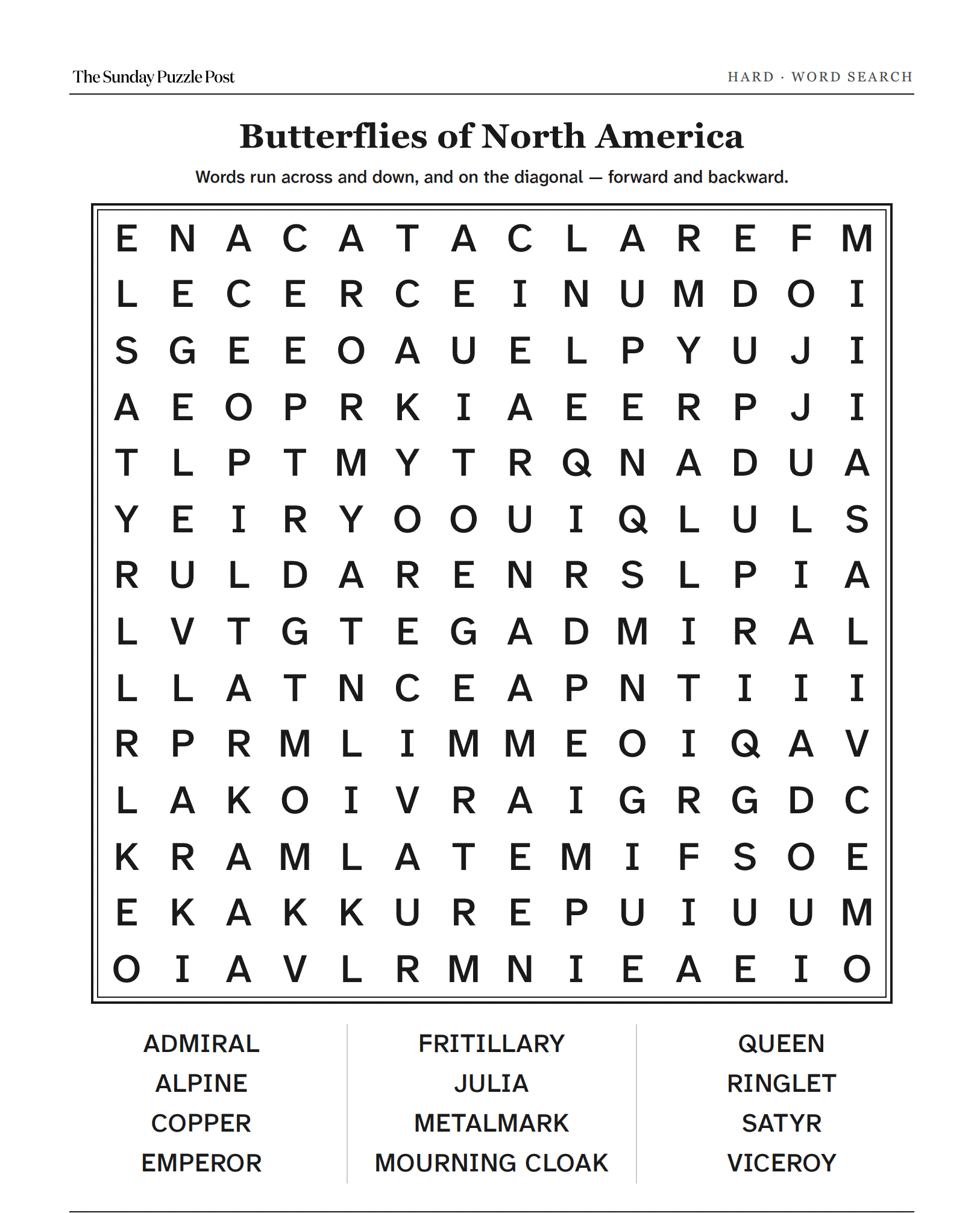 A printed word search page, one large grid filling the sheet.